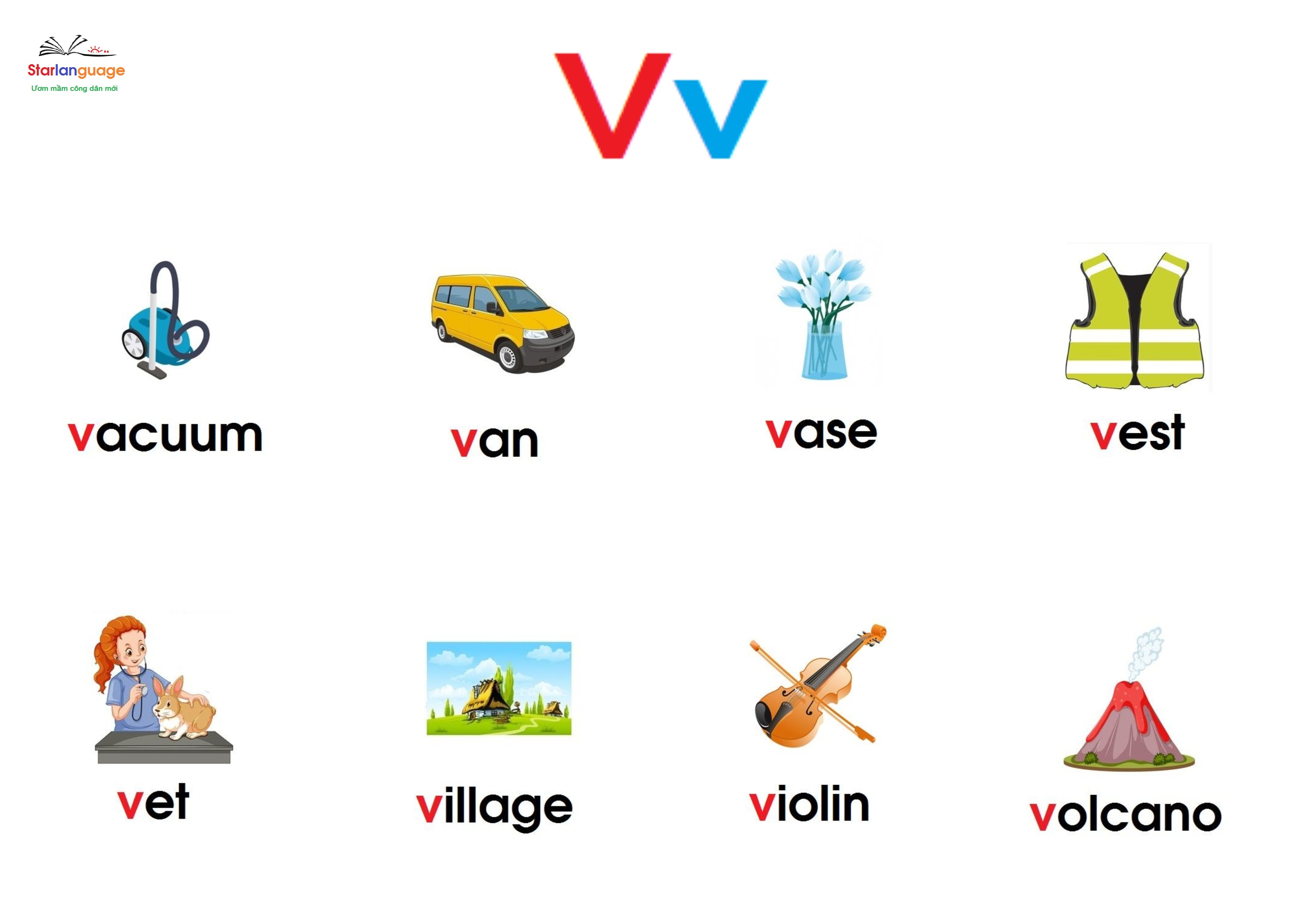 Optional letter  V
