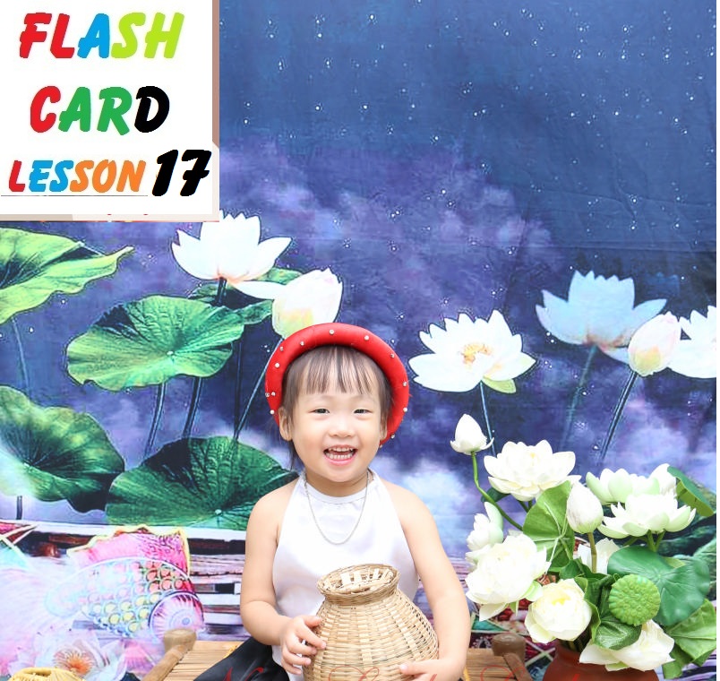 FLASH CARD LESSON 17